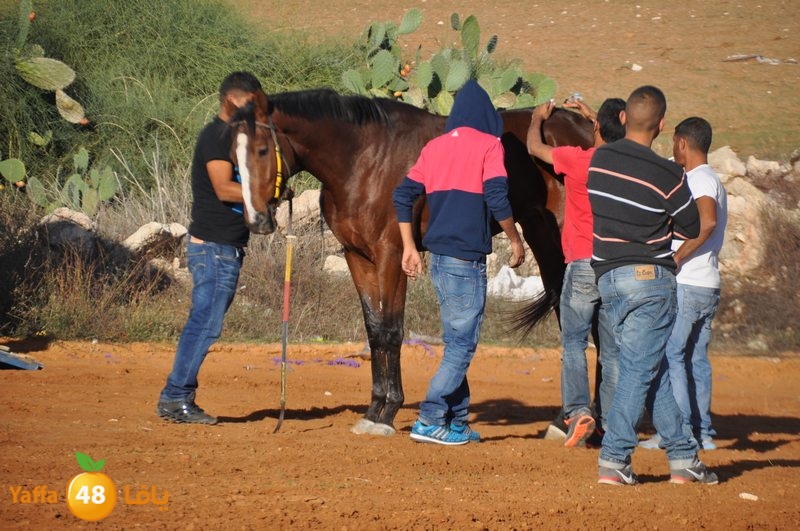 Khowoyouls ramala (39).JPG